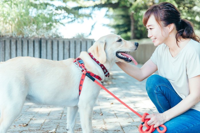 飼い主の女性とラブラドールレトリーバー