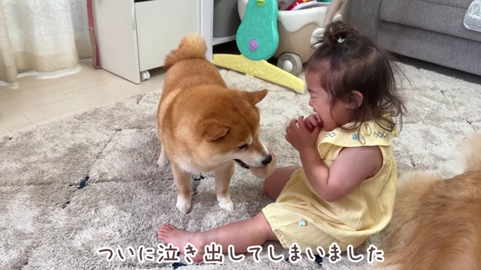 ついに泣かせちゃった!!