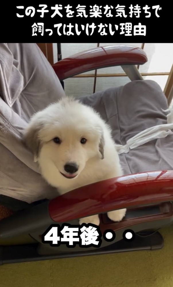 おくつろぎ中