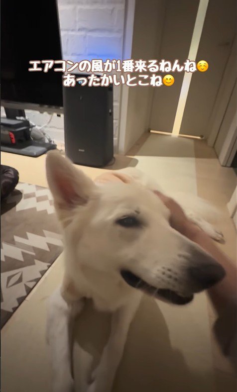 れお君の表情の変化8