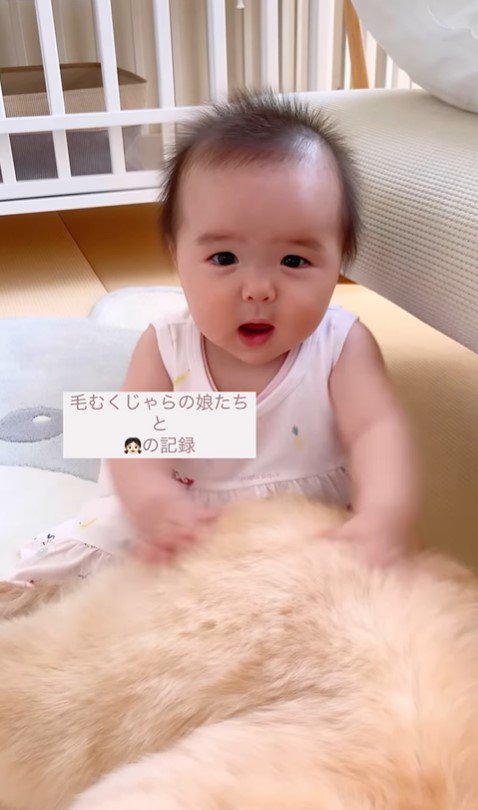 女の子とワンコたちの6年間