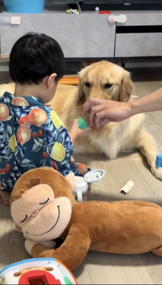向かい合って座る子どもと犬