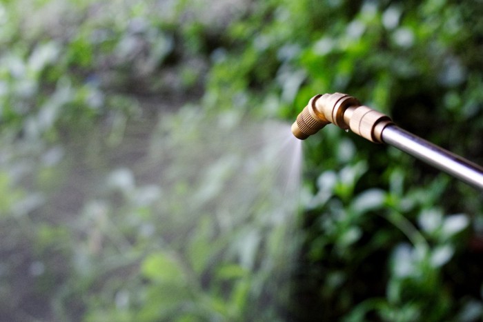 除草剤を撒く