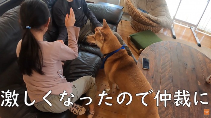 ベシベシ叩いて反撃