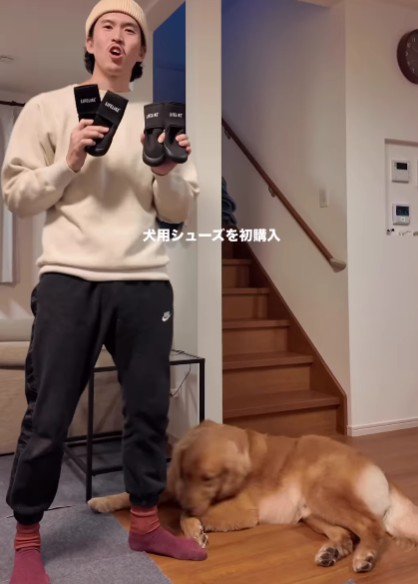 犬用の靴を買ってみたよ