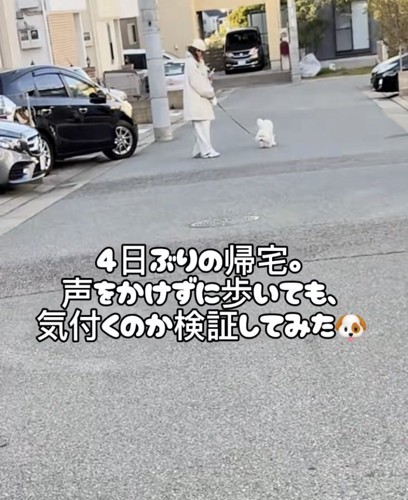 4日ぶりの再会です