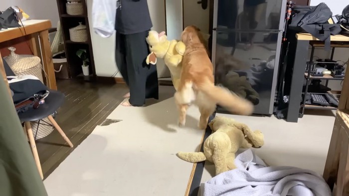 ジョイくんは大喜び！