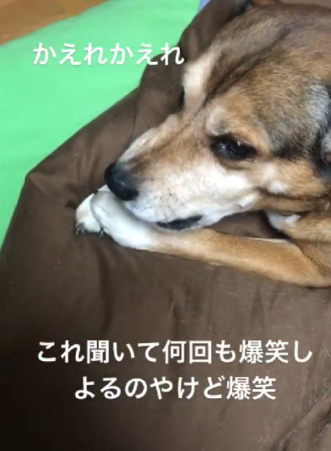 「なにしてるの?」