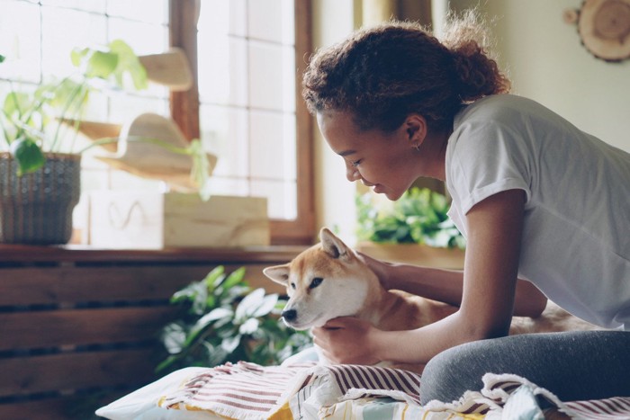 柴犬を撫でる女性