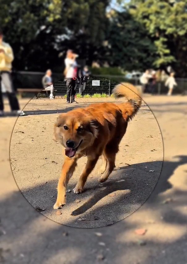 笑顔のラッキーくん