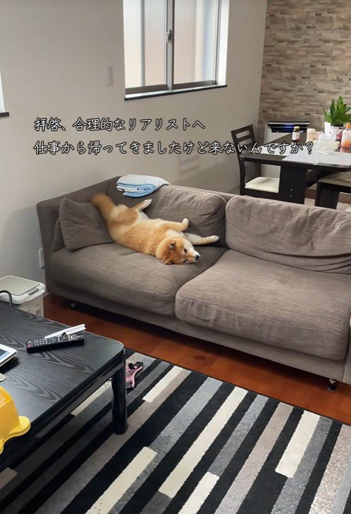 お出迎えする気ゼロ