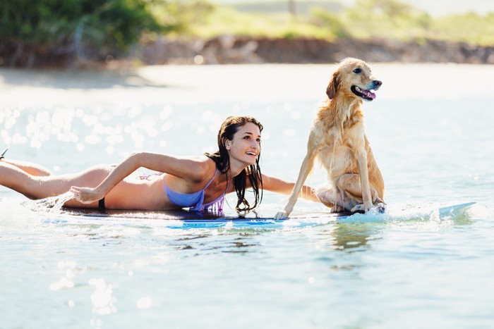 サーフボードに乗る女性と犬