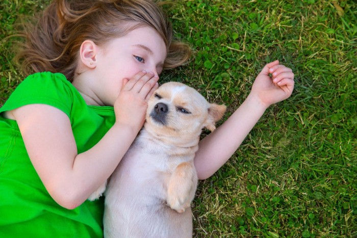 犬に耳打ちする女の子