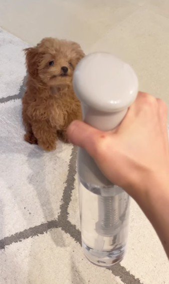 お口を開けて…