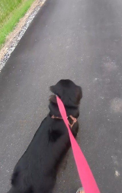 「行っちゃダメ！」