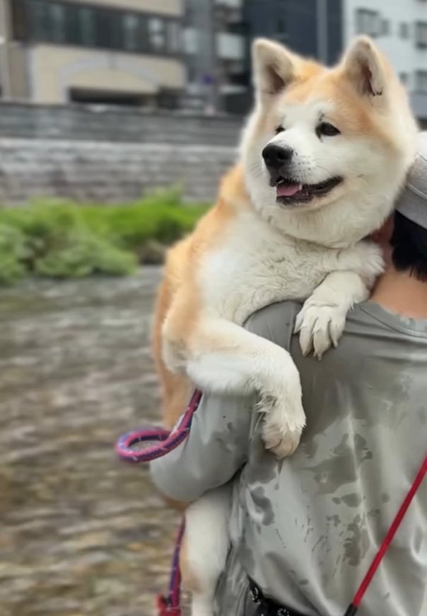 嬉しそうなおはるちゃん