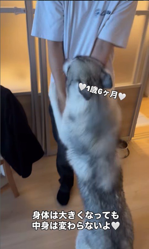 イヴちゃんとお兄ちゃん8