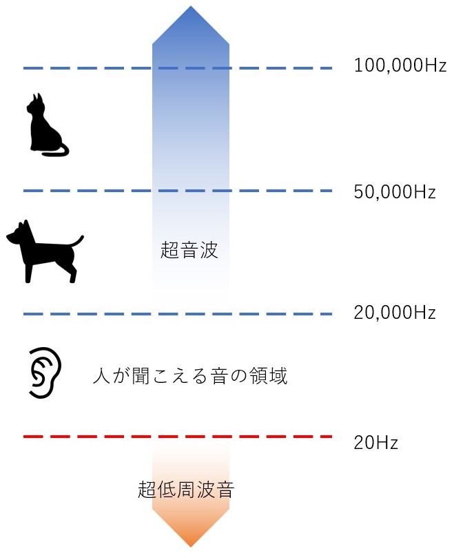 犬にしか聞こえない音って本当にあるの？