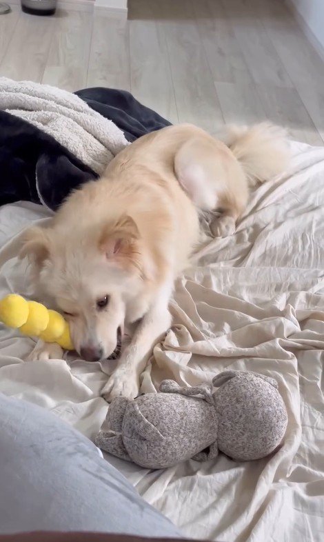 ぼーちゃんの変化8