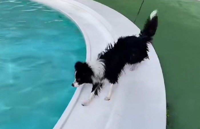 プールで泳ぐのが好き