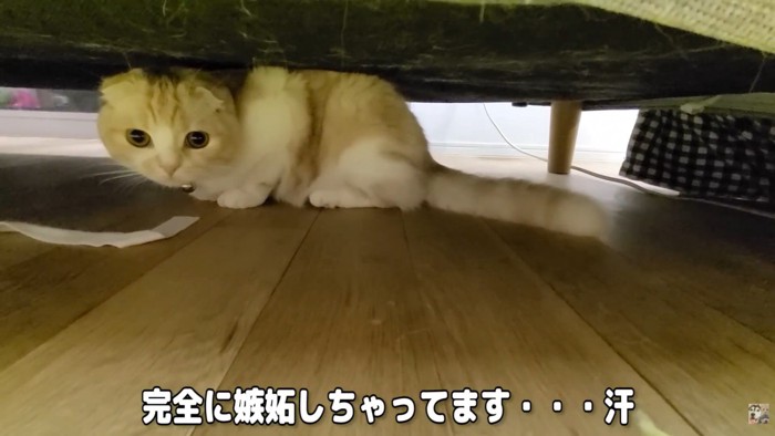 しばらく機嫌が直らないかも…？