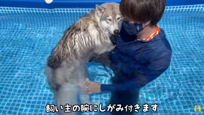 水が鼻に入ったもんちゃん