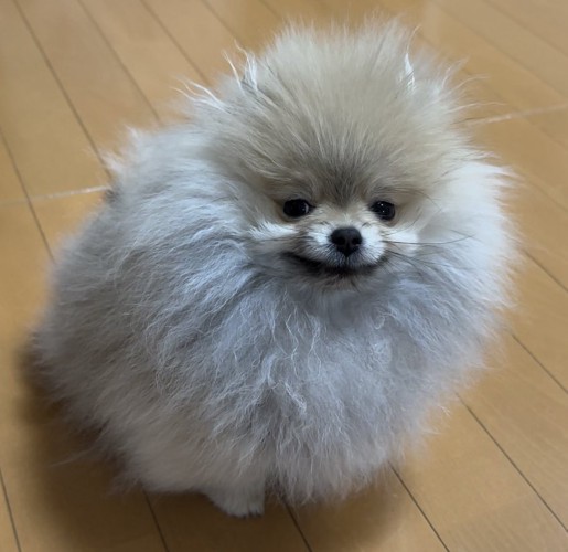 ヘラッ