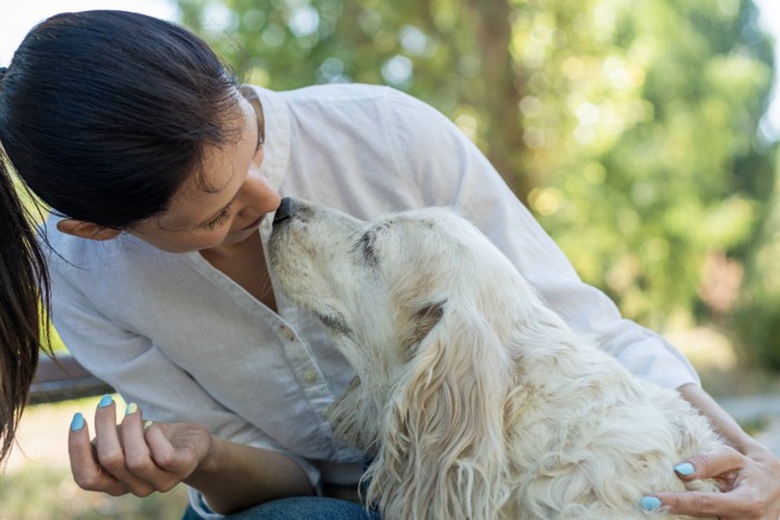 女性と老犬