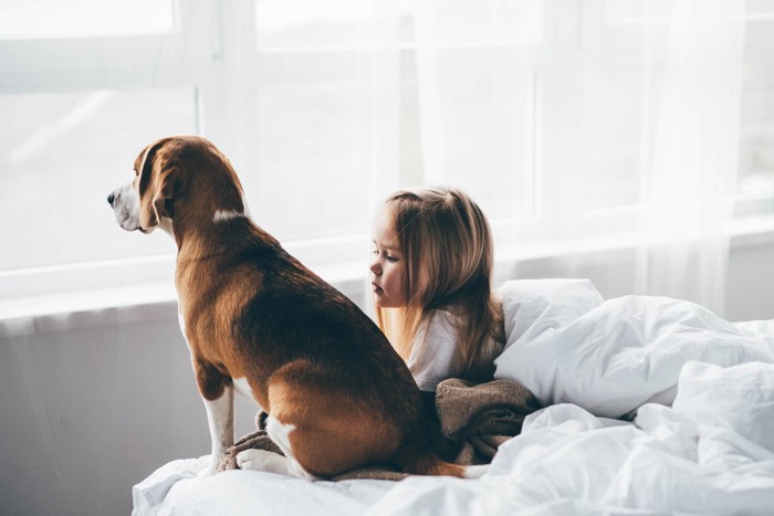 少女の隣で窓の外を眺める犬