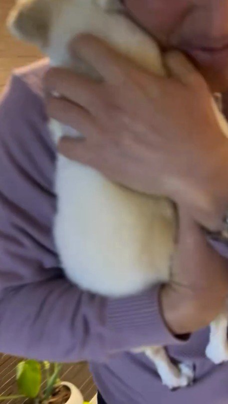 男性の肩に抱っこされる犬