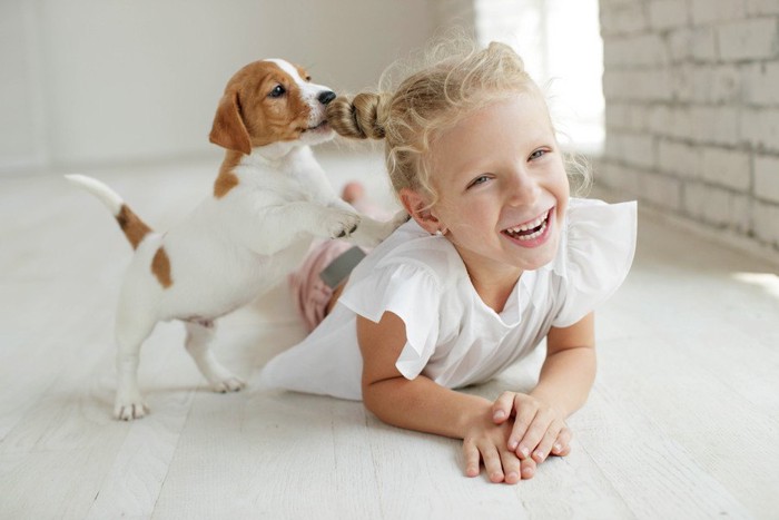 女の子の髪を噛む子犬