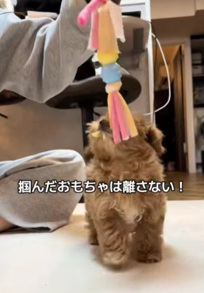 やんちゃな一面も