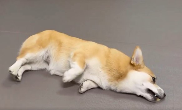 のび〜