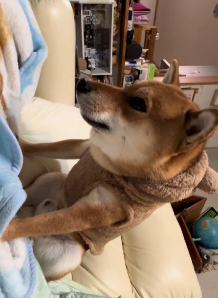 そんな姿も愛おしい