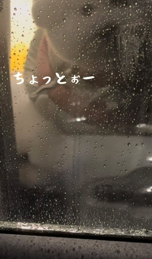 窓に顔を寄せる犬