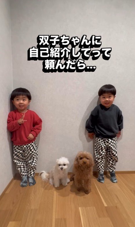 双子ちゃんに自己紹介をお願いしたら…?