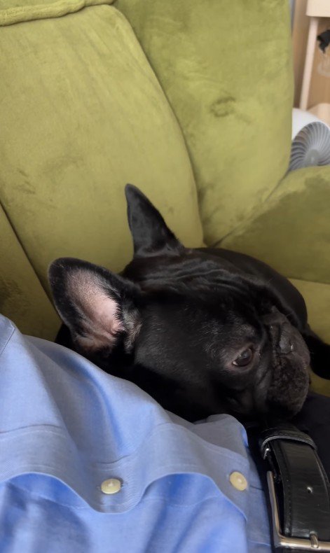 お留守番を察したジェットくん3