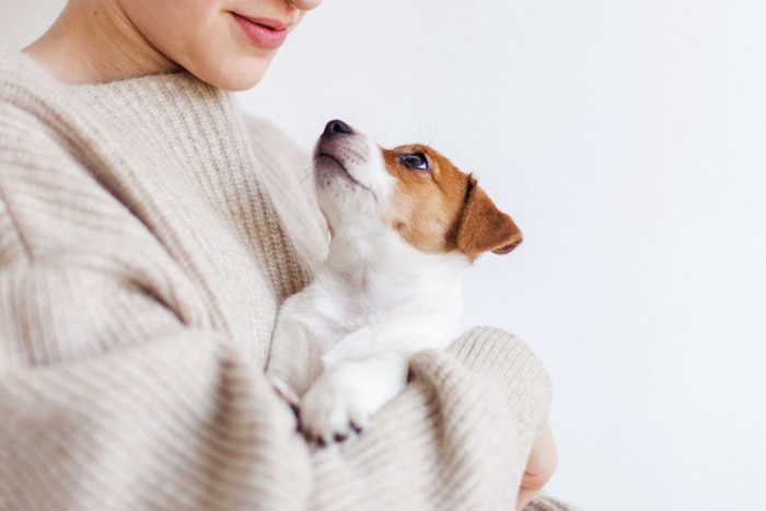 見つめる子犬と女性