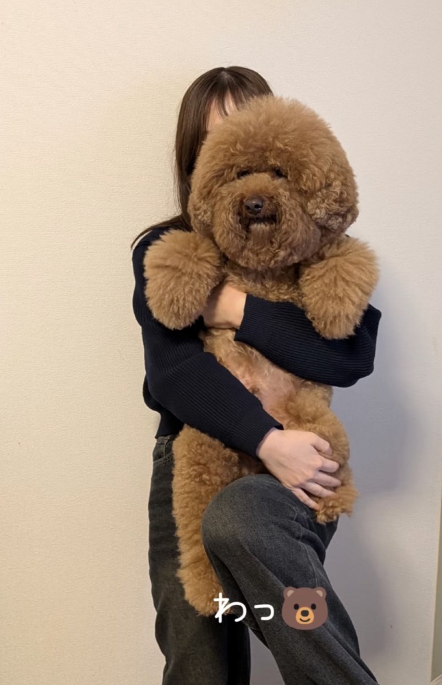 抱っこされる犬2