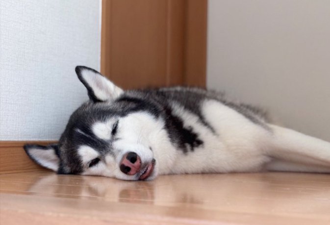 穏やかな