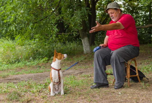 犬と会話