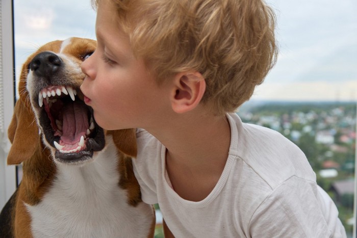 少年にキスされて威嚇する犬