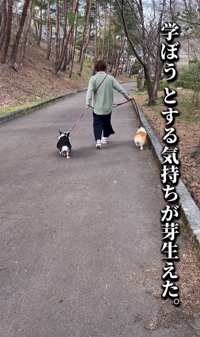 犬を迎えて良かったこと