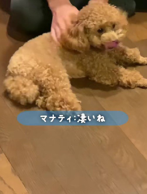 アニマルセラピーってスゴイ…！