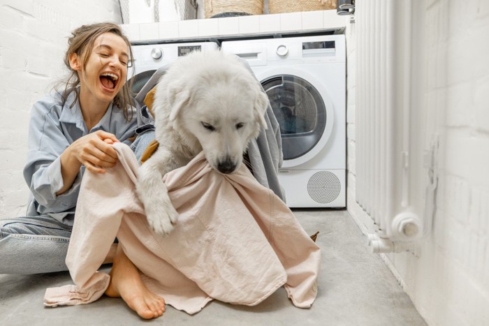 洗濯物で遊ぶ犬と女性