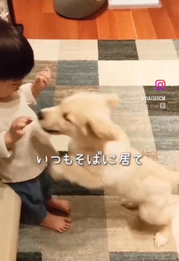 ていちゃんに飛びつくエルくん