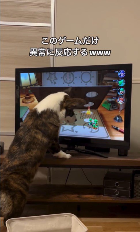 ゲームに興味津々のググくん7