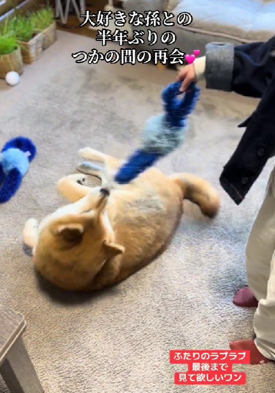 楽しい時間はあっという間