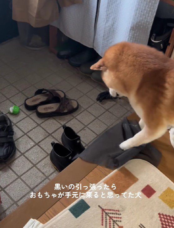 「これを引き寄せれば…」