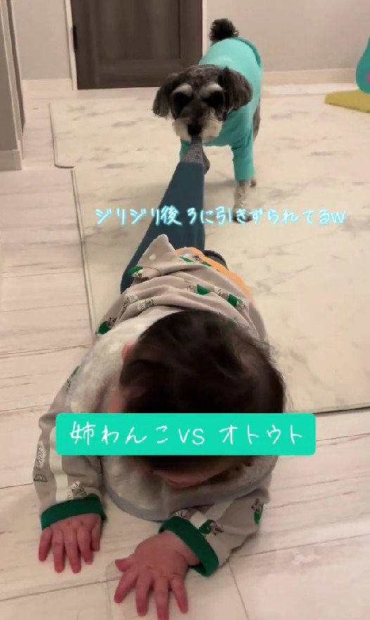 キッチンは危険がいっぱいだから…